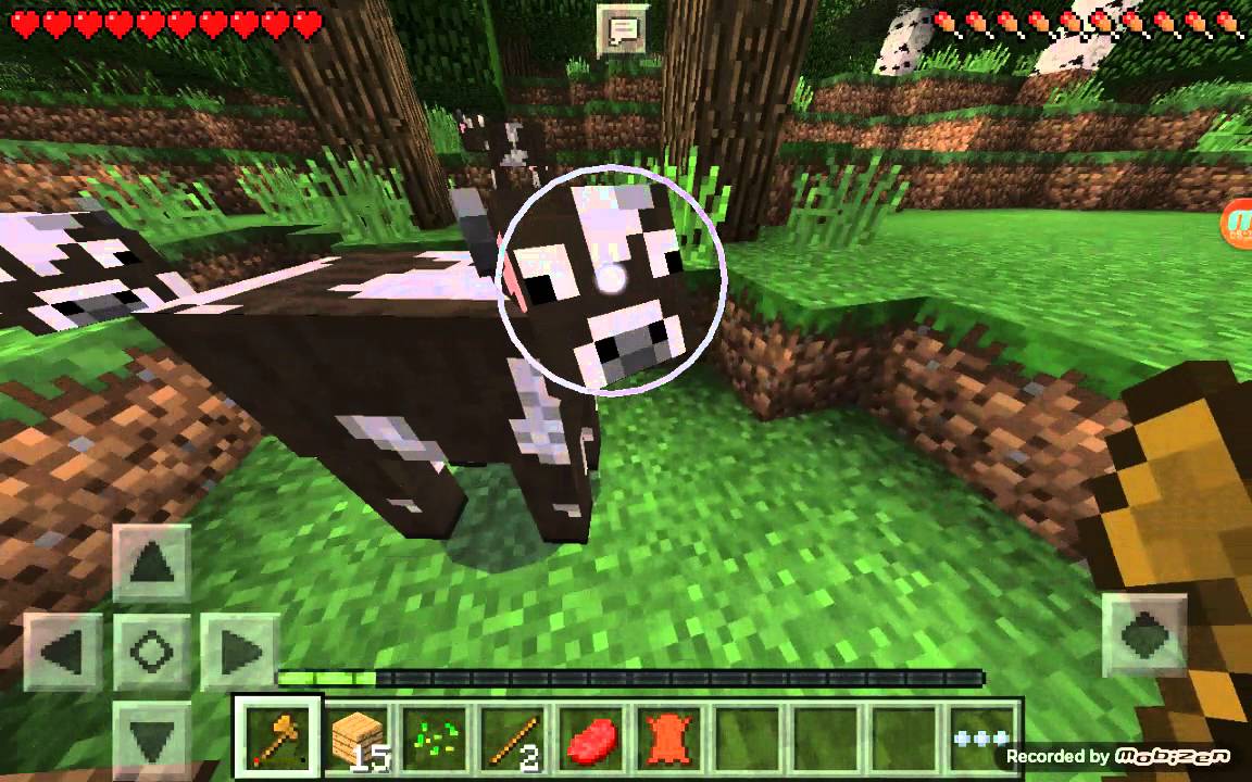 Minecraft pe lanetli deri set ve ağaç ev bölün 1 - YouTube