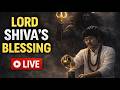 HAPPY MAHASHIVRATRI EVERYONE ❤️|AAJ HOGA TANDAV ULTIMATE MAI|#shorts #shortsfeed #shortlive #live