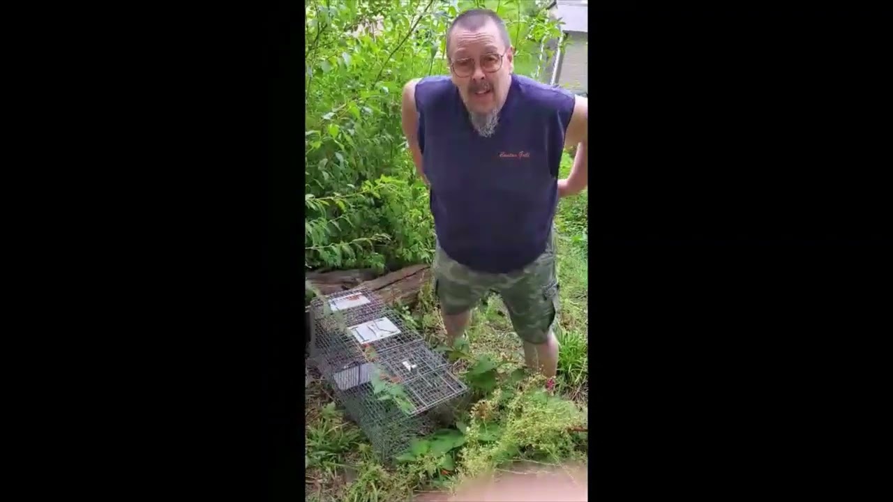 NWCO - Taking care of a Woodchuck Problem