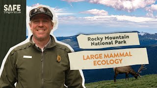 Rocky Mountain National Park: Large Mammal Ecology