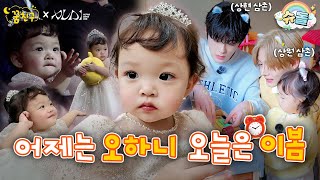 Oh Ha Ni or Lee Bom🤔 | ALPHA DRIVE ONE SANGWON SANGHYEON | My Dream Buddy🌛