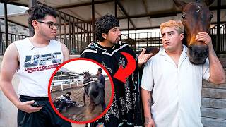 MI PRIMERA VEZ CON UN CABALLO!