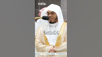 وأما الذين فسقوا فمأواهم النار_تلاوة مرئية_صلاة الفجر 17 ربيع الأول 1446هـ_الشيخ ياسر الدوسري_ quran