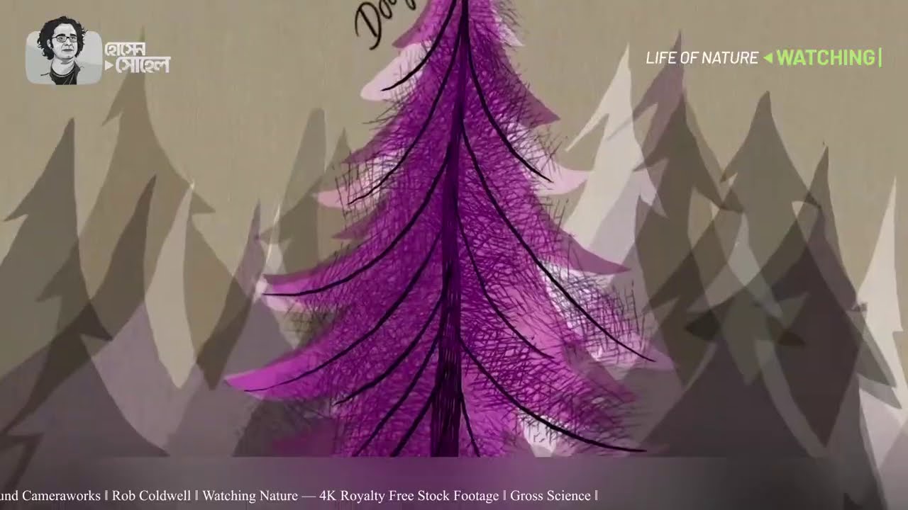 গাছেদের ফেসবুক ইউটিউব ।। LIFE OF NATURE ।। HOSSAIN SOHEL