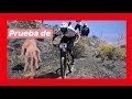 Probándome - ENDURO (RAW) SANTA CRUZ NOMAD4 - PLANTBASED VEGAN