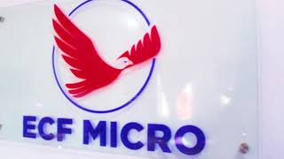 ECF MICRO