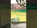 صاف ستھرا باتھ روم بنانے کا آسان گھریلو نسخہ