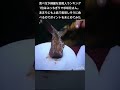 食べ方が綺麗な芸能人ランキング1位はぶっちぎりで杉咲花さん。あまりにも上品で美味しそうに食べるのでポイントをまとめてみた。 #杉咲花 #食べ方美人 #芸能人ラン