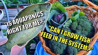 Is Aquaponics Right For You ??& Growing Your Own Fish Food | Robs Thoughts ?