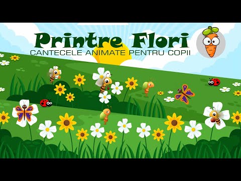 Printre Flori | Cantece pentru Copii | Desene Animate – Cantece pentru copii in limba romana