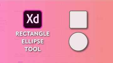 How and what is the Use of Rectangle and Ellipse Tool in Adobe XD 2020 | Lecture 04
