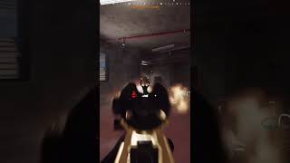 Double Tagging