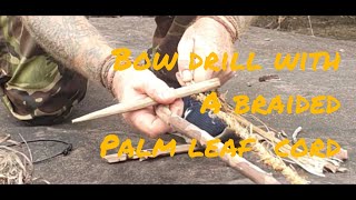 Bow drill with a braided palm leaf cord.
