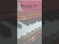 Vintage Themed 3.75 Octave 3 Line Standard Harmonium | www.nationalmusicind.com |