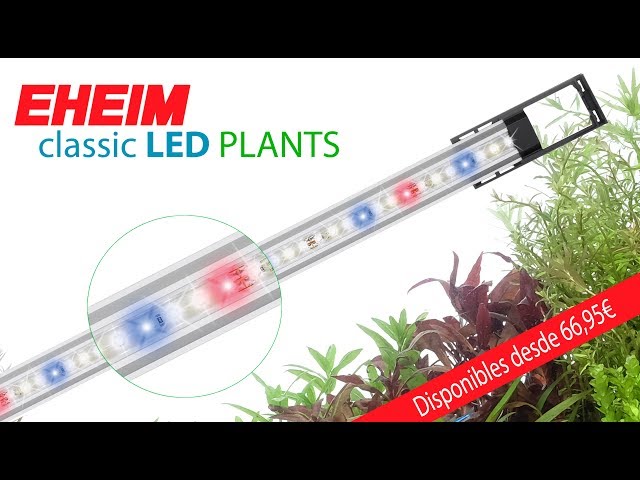 Pantallas Eheim classicLED PLANTS - YouTube