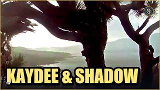 Kaydee Weathered the Storm at Big Bear Lake Shadow came out of Hiding | Big Bear Eagle Watch!