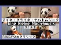 【1st Mov.】Mozart / Eine kleine Nachtmusik アイネ・クライネ・ナハトムジーク 1楽章 (バイオリン、チェロ、ビオラ)弦楽四重奏