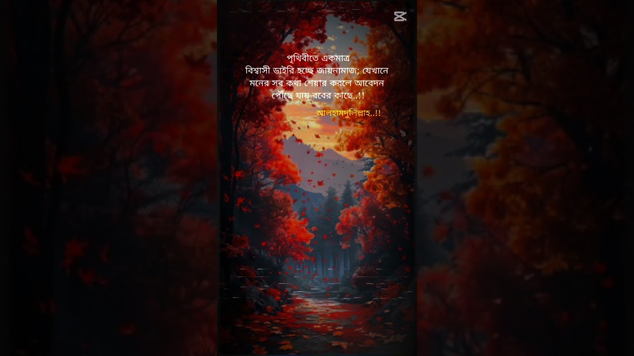 পৃথিবীতে বিশ্বস্ত একমাত্র ডায়েরি জায়নামাজ#islamicvideo#islamicshorts#viralvideo#viralshorts