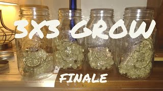 3x3 Grow Long Finale
