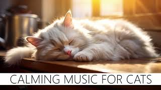 LOVELY Music for Cats | Gentle music to relax your cat (and yourself)❤️😺