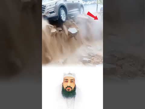 رحمة الله تزرع في كل قلب حتى في قلب الحيوان الذي ينقذ بلا كلام    كسبلور