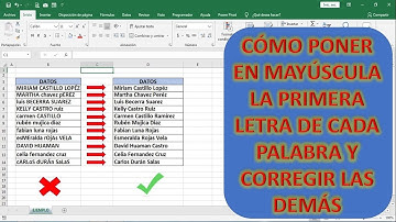 CÓMO PONER EN MAYÚSCULA LA PRIMERA LETRA DE CADA PALABRA Y CORREGIR LAS DEMÁS FÁCIL Y RÁPIDO.