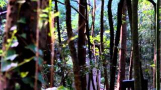 サバゲCIMAX20110911