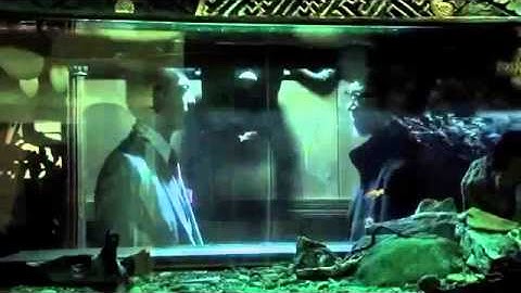 小沢仁志　松田一三　中野英雄　『荒ぶる魂の華』　予告編