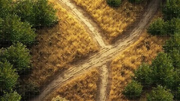 D&D | Harvestrun Part 2 Grid | Animated Battle Maps