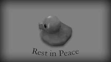 Voices of the Void: I found a duck but then it was stolen