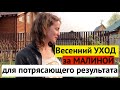 Мой весенний уход за МАЛИНОЙ. Больше за сезон к кустам не подхожу!