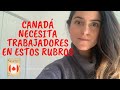 Oportunidades de empleo en Canadá l Por COVID-19