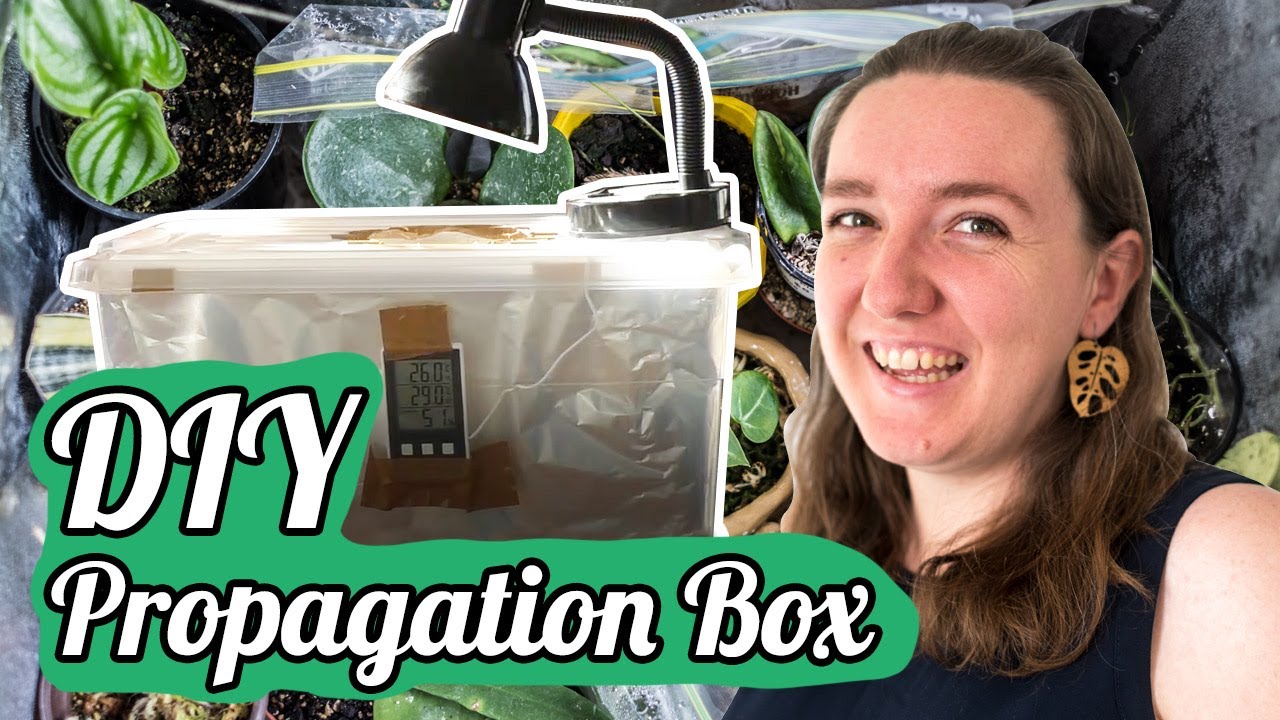 Making A Propagation Box + Plant Tour YouTube