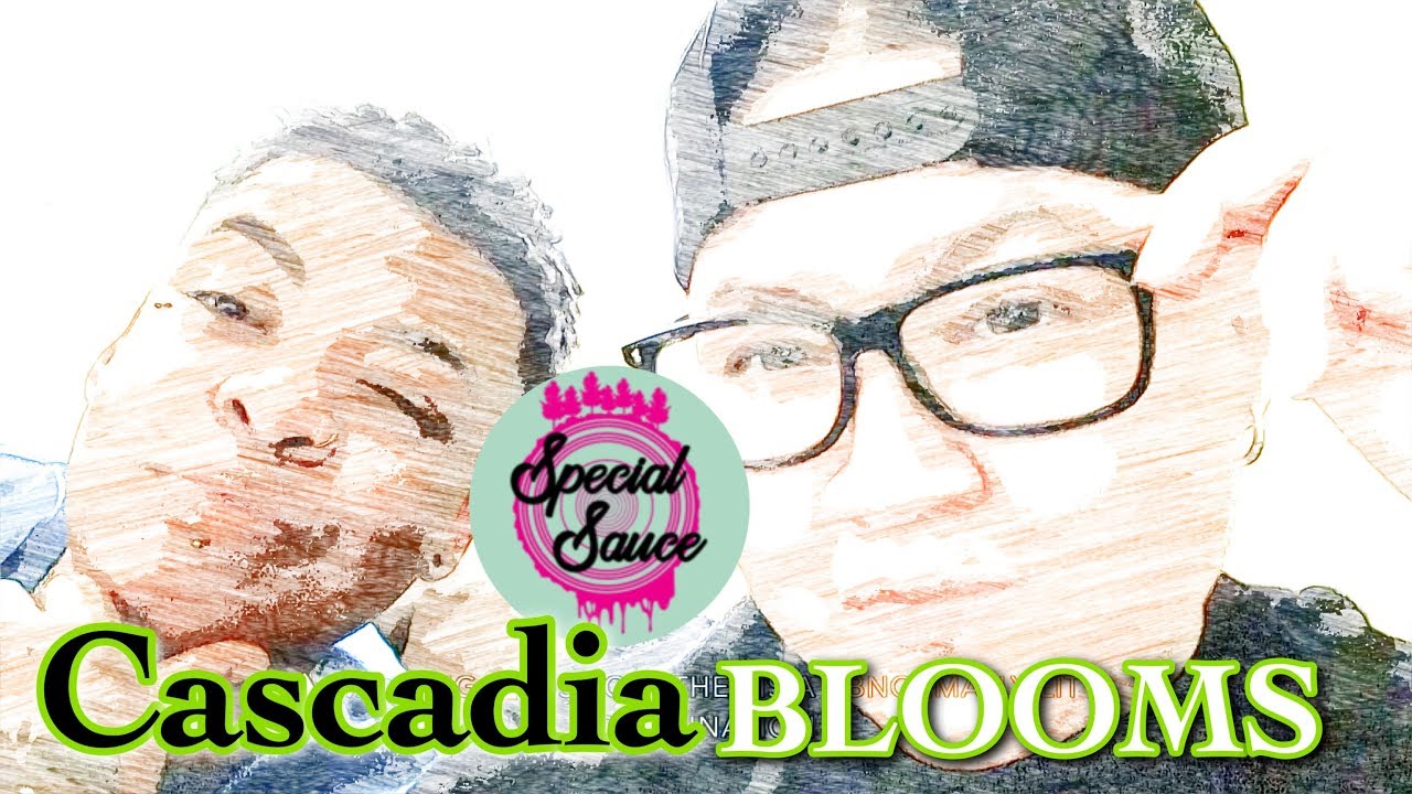 Cascadia Blooms Special Sauce CBD hemp flower review