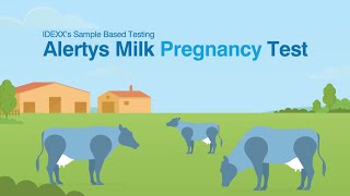 Alertys Milk Pregnancy Test ANZ