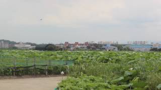 20170718 F-15K Video 3. @ 대구공항