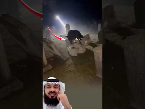 أحيان ا ترى شيئ ا يجعلك تعيد النظر في كل ما تعرفه عن الحياة اقتباسات اكسبلور لايك Animals 