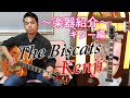 【楽器紹介】使っているギターを紹介します⭐️【Gretsch】