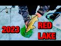 2023 red lake walleye fishing part 1