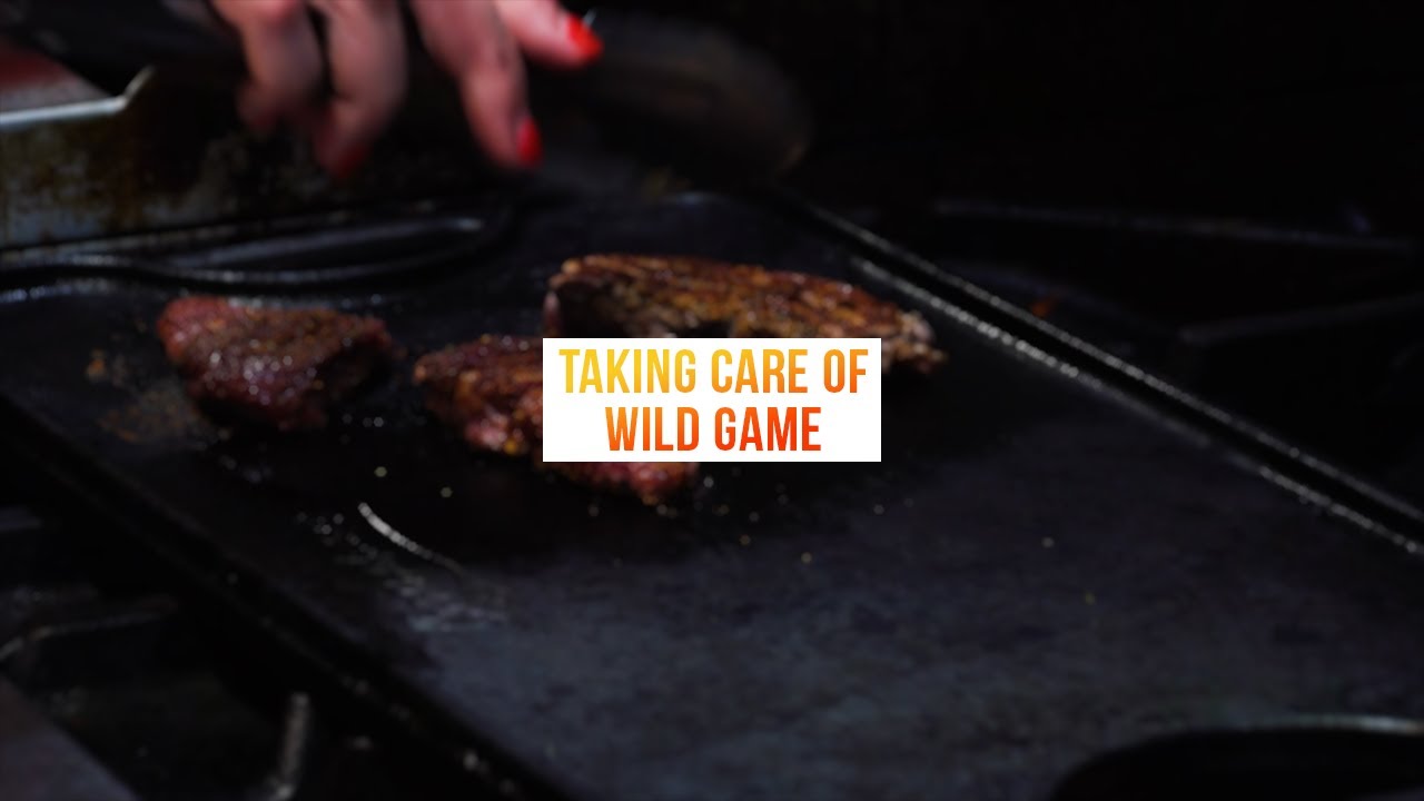 How to Prepare Venison So it Doesn't Taste Gamey YouTube