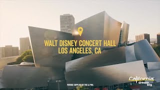 Check out the Disney Concert Hall in Los Angeles!