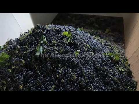 California growers struggle to sell grapes as demand for wine falls