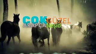 Lam yabqa | arapça neşid | نشيد لم يبقى | arabic nesheed | Нашид #neşidevi#نشيد