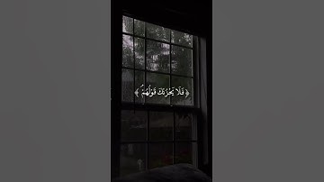 فلا يحزنك قولهم ـ بصوت القارئ محمد هشام