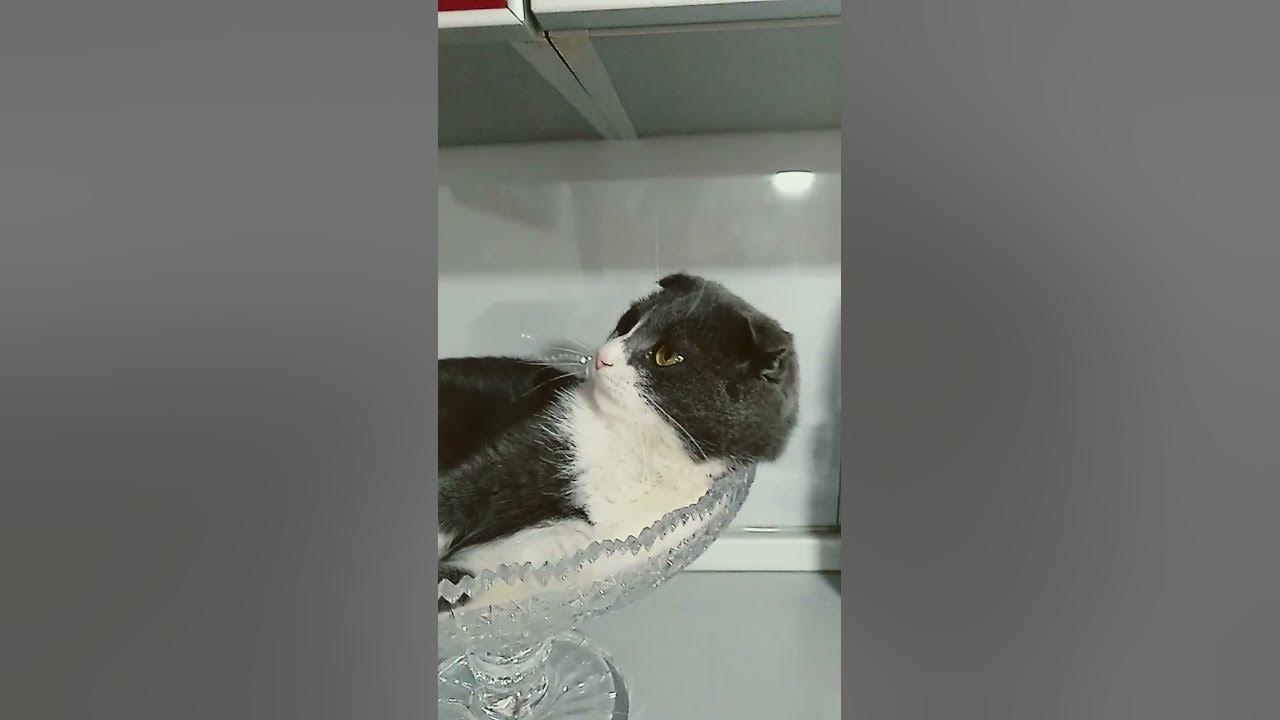 Дозор🧐🧐🧐 - YouTube