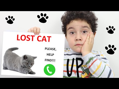 Yusuf and Uncle Lost the Cat