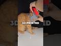 3D printed Cat Knight Helmet?