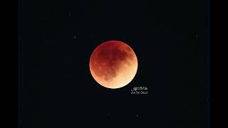 The 05/15/2022 Lunar Eclipse Condensed Into About A 1 Minute Time Lapse