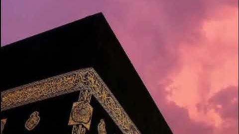 سورة آل عمران الآيات 159 : 163
