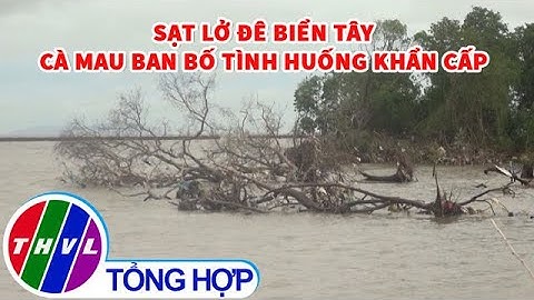 Sạt lở đê biển Tây, Cà Mau ban bố tình huống khẩn cấp